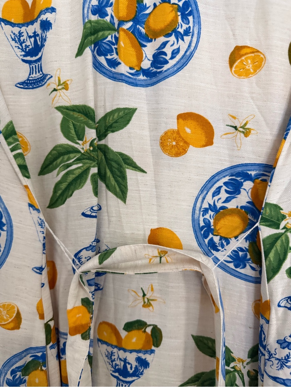 Linen Button-Front Maxi Dress with Citrus & Blue Urn Print - Picture 3 of 5